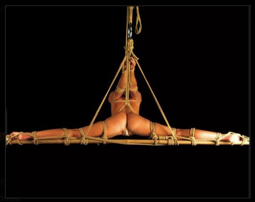 Shibari, “Extreme Sex,” and Anti-Sex Prejudice