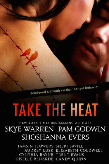 Take The Heat - Kink Your Kindle