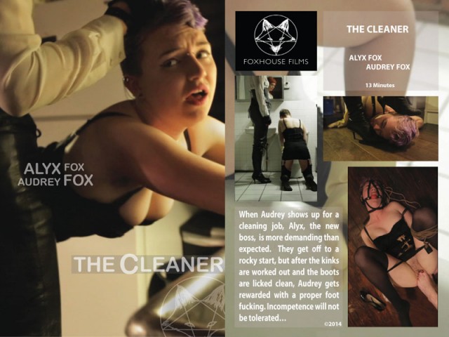 the cleaner foxhouse