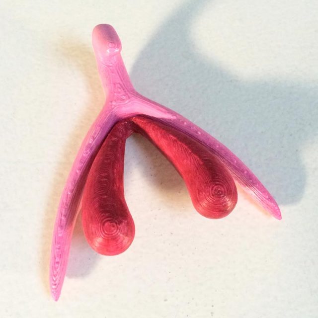 3D-printed-clitoris-3